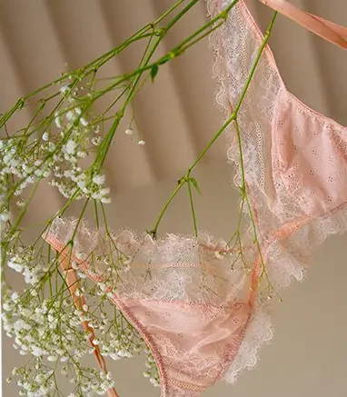 Pink Lingerie